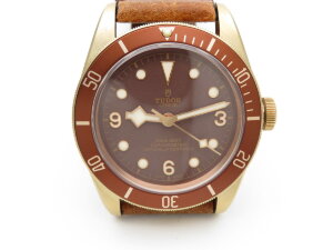 Tudor Heritage Black Bay Bronze 79250BM