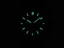 Audemars Piguet Royal Oak Offshore QE II CUP 2016 Limited Edition 26406FR.OO.A002CA.01 Арт. 889 Арт. 889