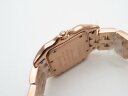 Cartier Panthere Secrete Ladies WJPN0008 Арт. CA-0903 Арт. CA-0903