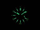 Audemars Piguet Royal Oak Offshore Diver 15710ST.OO.A051CA.01 Арт. 341 Арт. 341