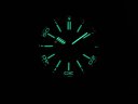 Audemars Piguet Royal Oak Offshore Diver QEII Cup 2014 15709TR.OO.A005CR.01 Арт. 605 Арт. 605