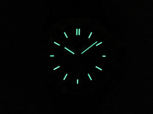 Audemars Piguet Royal Oak Offshore Juan Pablo Montoya 26030PO.OO.D021IN.01