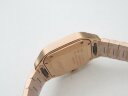 Cartier Santos De Cartier WGSA0008 Арт. CA-0930 Арт. CA-0930